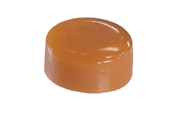 sanssucre caramel 2
