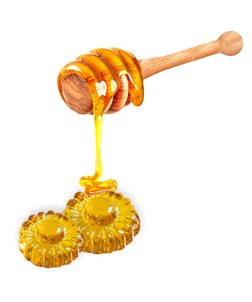 pastille miel montage